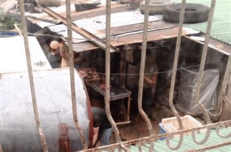 cebu to baguio|3 arrested for slaughtering, cooking dogs in Baguio City.
